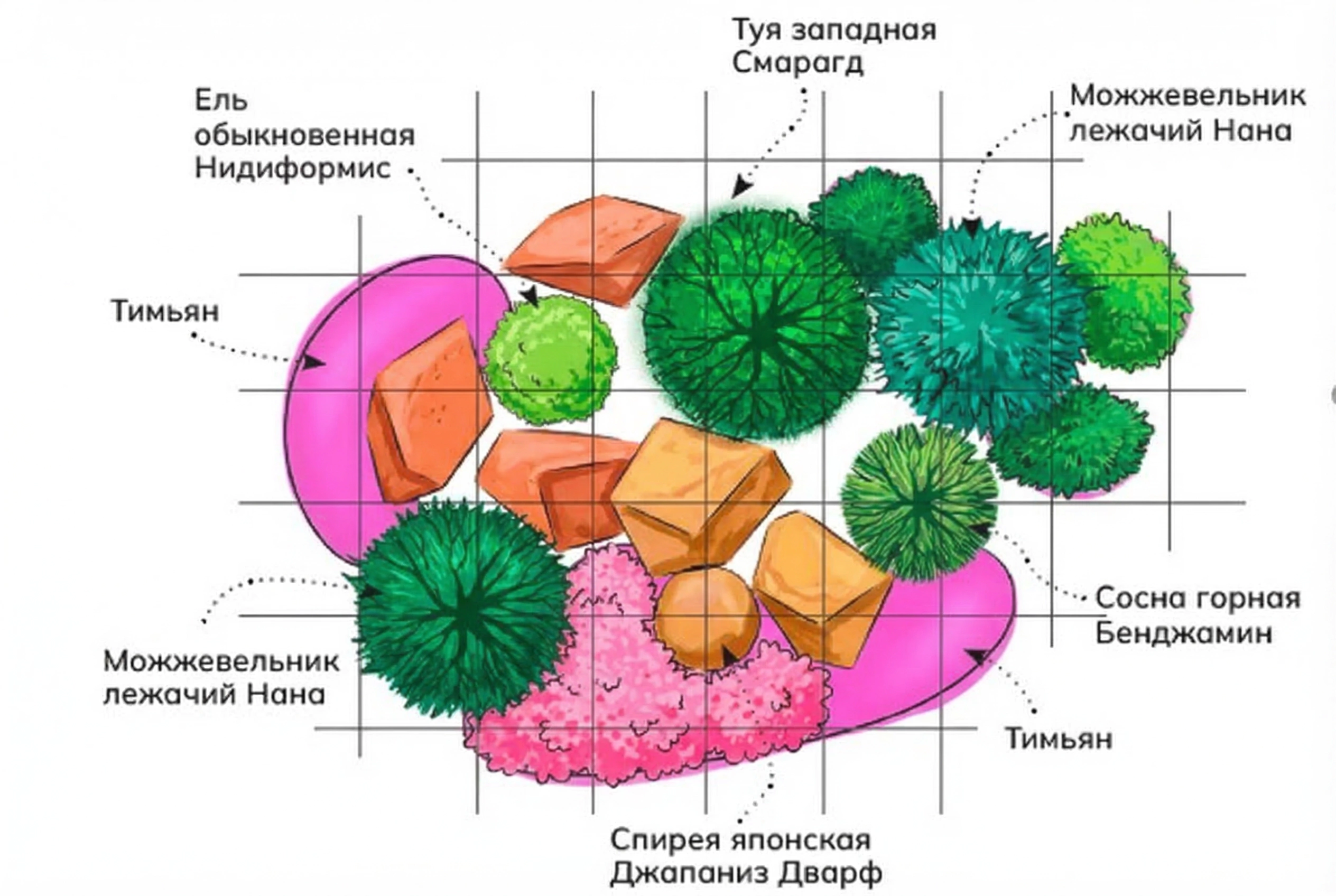 Схема клумбы Хвойная